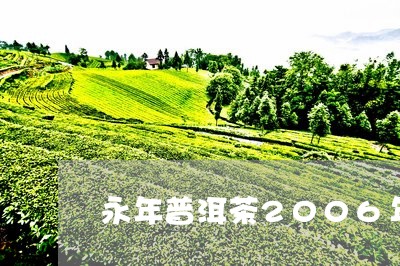 永年普洱茶2006年/2023112578602