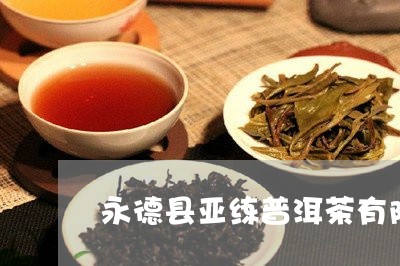 永德县亚练普洱茶有限公司/2023121734037