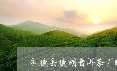 永德县德胡普洱茶厂醇香金毫/2023052765249