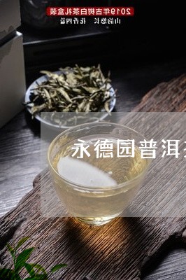 永德园普洱茶价格多少钱一斤/2023121754019