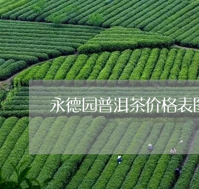 永德园普洱茶价格表图大全/2023121704059