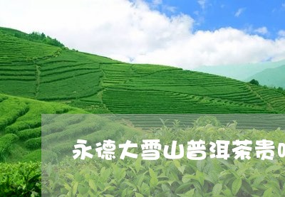 永德大雪山普洱茶贵吗/2023061542804