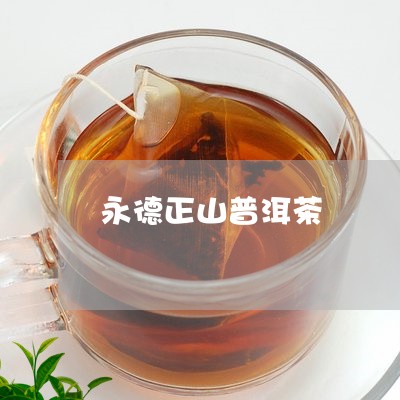 永德正山普洱茶/2023112679593