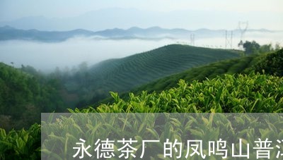 永德茶厂的凤鸣山普洱茶/2023082797350