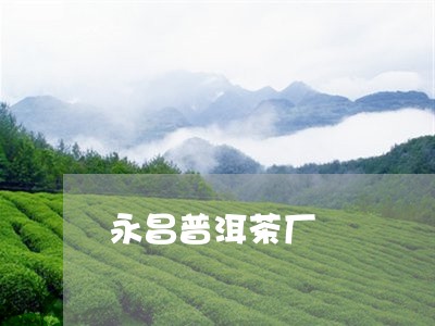 永昌普洱茶厂/2023090698158