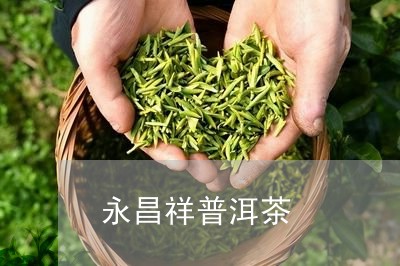 永昌祥普洱茶/2023042621559