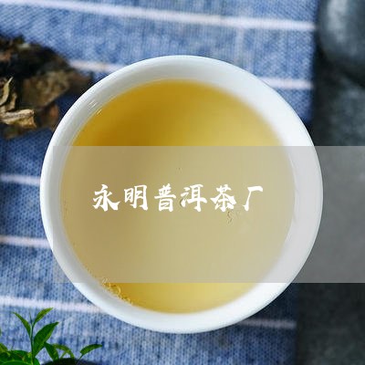 永明普洱茶厂/2023090640505