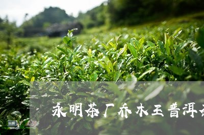 永明茶厂乔木王普洱茶/2023063056379