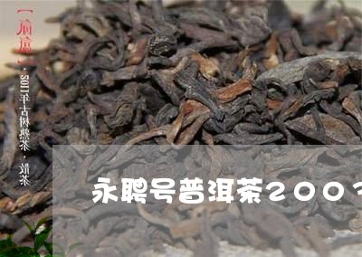 永聘号普洱茶2003/2023080363836