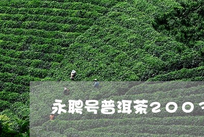 永聘号普洱茶2003/2023100742857