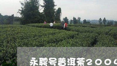 永聘号普洱茶2004年景上添花/2023060318391