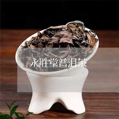 永胜堂普洱茶/2023121717960