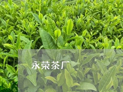 永荣茶厂/2023110917247