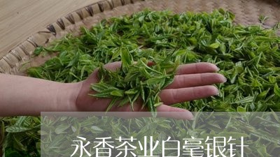 永香茶业白毫银针/2023090740484