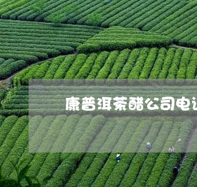 氼康普洱茶醋公司电话/2023093062718