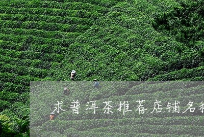 求普洱茶推荐店铺名称和图片/2023110428374