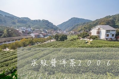 求败普洱茶2006/2023091493823