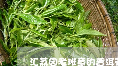 汇荔园老班章的普洱茶/2023080717370