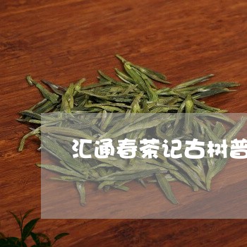 汇通春茶记古树普洱茶/2023092767483