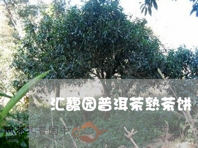 汇馥园普洱茶熟茶饼/2023101761606