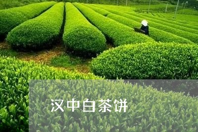 汉中白茶饼/2023050815249