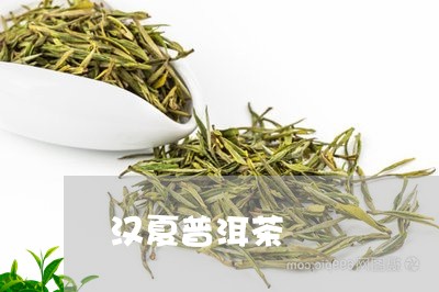 汉夏普洱茶/2023090562604