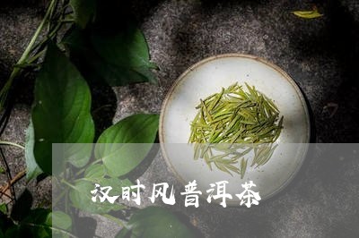 汉时风普洱茶/2023042687105