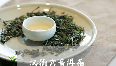 汉清宫普洱茶/2023042649144