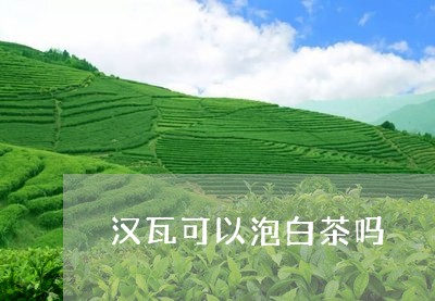 汉瓦可以泡白茶吗/2023062218371