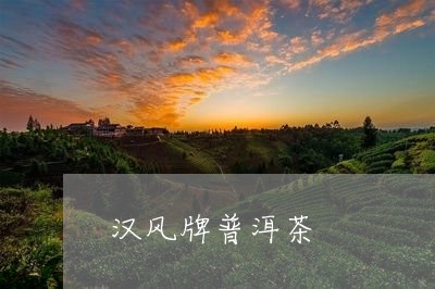 汉风牌普洱茶/2023091341506