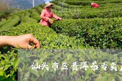 汕头市区普洱茶专卖店/2023072457048