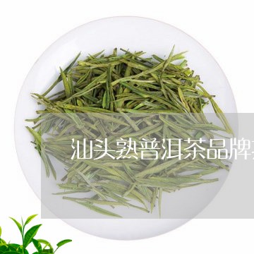 汕头熟普洱茶品牌招商/2023092540624