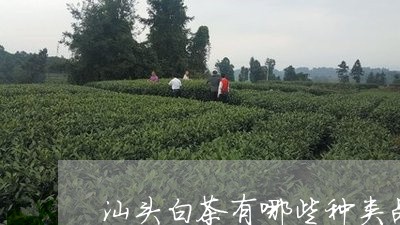 汕头白茶有哪些种类品种/2023102761491