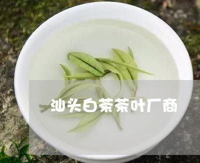 汕头白茶茶叶厂商/2023062229392