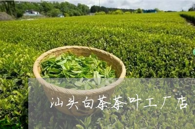 汕头白茶茶叶工厂店/2023072124858