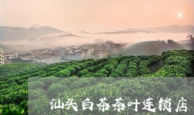 汕头白茶茶叶连锁店/2023072167481