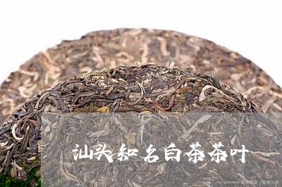 汕头知名白茶茶叶/2023062231834