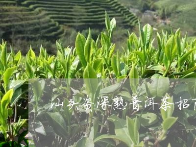 汕头资深熟普洱茶招商/2023061448351