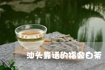 汕头靠谱的福鼎白茶/2023091332036