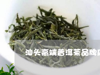 汕头高端普洱茶品牌店在哪/2023083155159