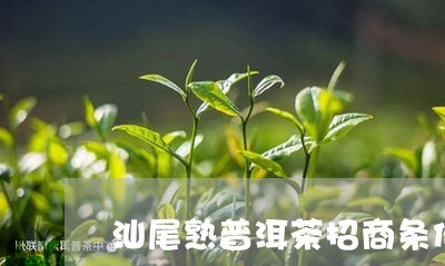 汕尾熟普洱茶招商条件/2023061406147