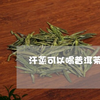 汗蒸可以喝普洱茶吗/2023071006602