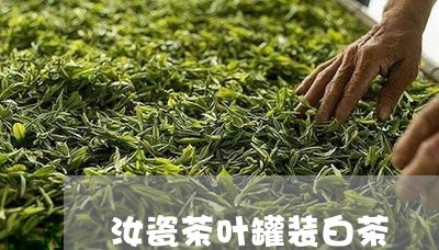 汝瓷茶叶罐装白茶/2023062294970