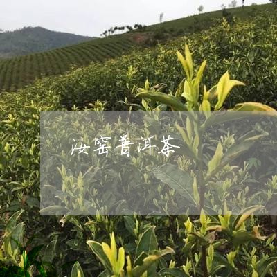 汝窑普洱茶/2023090538370