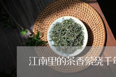 江南里的茶香萦绕千年/2023092104037