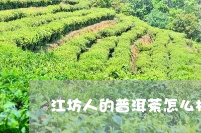 江坊人的普洱茶怎么样/2023092650584