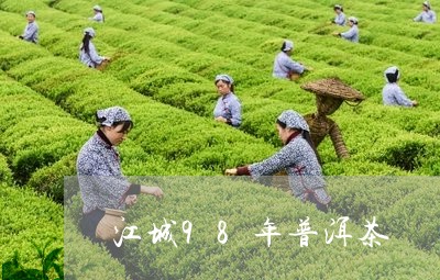 江城98年普洱茶/2023112596416