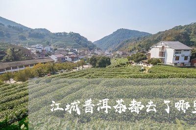 江城普洱茶都去了哪里/2023080123536