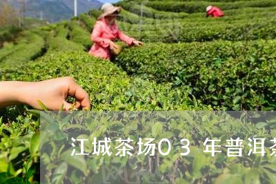 江城茶场03年普洱茶/2023120693618