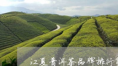 江夏普洱茶品牌排行第一/2023121751715